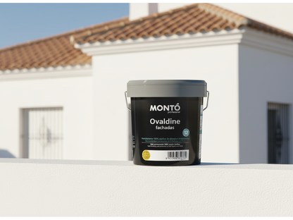Ovaldine Fachadas | Pintura de Fachadas Premium | Revestimiento Acrílico Liso | Máxima Durabilidad y Protección Exterior (Blanco) (1)